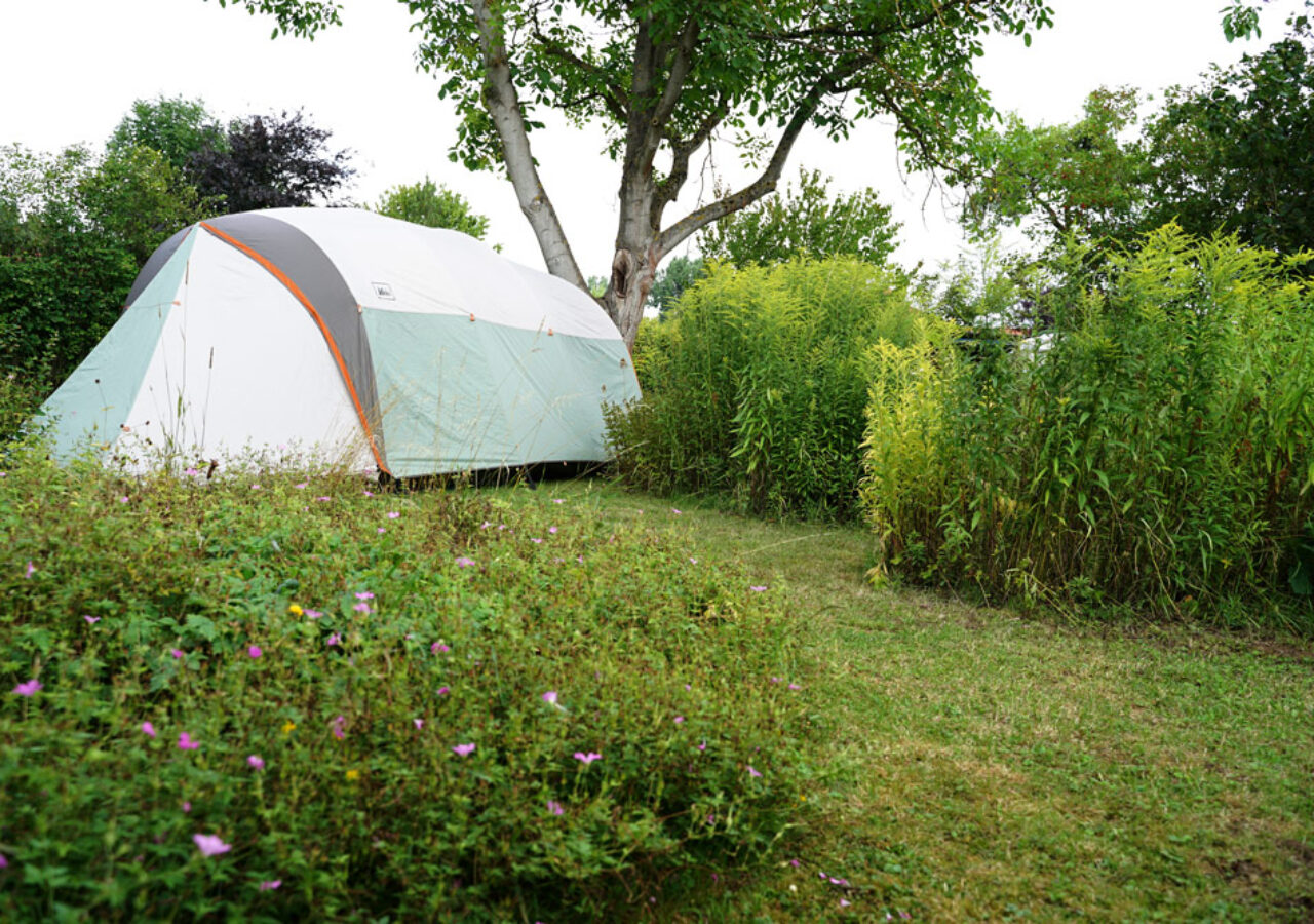 Wiese für zelte Camping im Garten