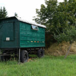 Honigbienen Camping im Garten